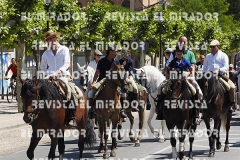 2016 feria caballo medina del campo 99