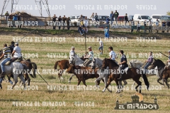 OLMEDO ENCIERRO 26-9-2015 28