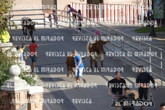 OLMEDO ENCIERRO 26-9-2015 32