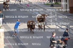 OLMEDO ENCIERRO 26-9-2015 34