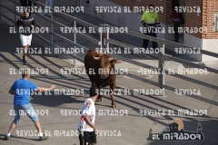 OLMEDO ENCIERRO 26-9-2015 42