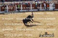 OLMEDO ENCIERRO 26-9-2015 53