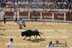 OLMEDO ENCIERRO 26-9-2015 65