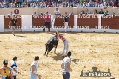 OLMEDO ENCIERRO 27-9-2015 26