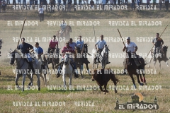 OLMEDO ENCIERRO 27-9-2015 40