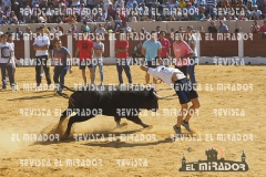 OLMEDO ENCIERRO 27-9-2015 72