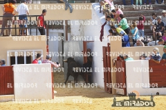 OLMEDO ENCIERRO 27-9-2015 76