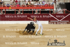 CORTES MEDINA DEL CAMPO 29-08-2015 1