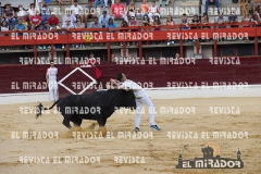 CORTES MEDINA DEL CAMPO 29-08-2015 10