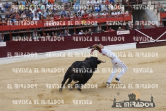 CORTES MEDINA DEL CAMPO 29-08-2015 12