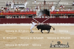 CORTES MEDINA DEL CAMPO 29-08-2015 13