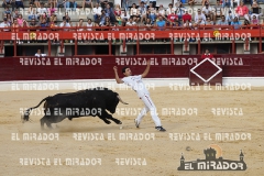 CORTES MEDINA DEL CAMPO 29-08-2015 14