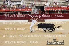 CORTES MEDINA DEL CAMPO 29-08-2015 15