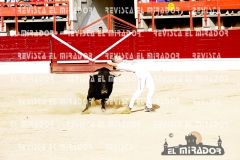 CORTES MEDINA DEL CAMPO 29-08-2015 16