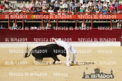 CORTES MEDINA DEL CAMPO 29-08-2015 17