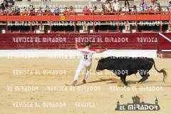 CORTES MEDINA DEL CAMPO 29-08-2015 19