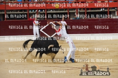 CORTES MEDINA DEL CAMPO 29-08-2015 2