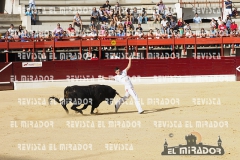 CORTES MEDINA DEL CAMPO 29-08-2015 20