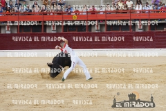 CORTES MEDINA DEL CAMPO 29-08-2015 22