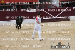 CORTES MEDINA DEL CAMPO 29-08-2015 23