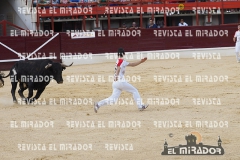 CORTES MEDINA DEL CAMPO 29-08-2015 24