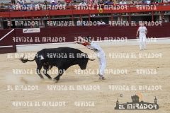 CORTES MEDINA DEL CAMPO 29-08-2015 25