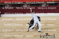 CORTES MEDINA DEL CAMPO 29-08-2015 26