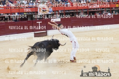 CORTES MEDINA DEL CAMPO 29-08-2015 28