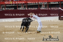 CORTES MEDINA DEL CAMPO 29-08-2015 29