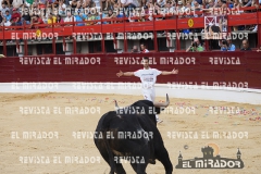 CORTES MEDINA DEL CAMPO 29-08-2015 31