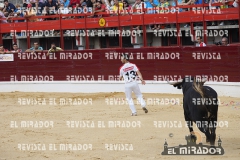 CORTES MEDINA DEL CAMPO 29-08-2015 33