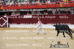 CORTES MEDINA DEL CAMPO 29-08-2015 34