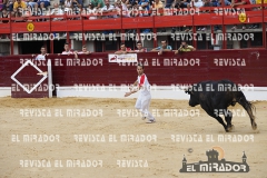 CORTES MEDINA DEL CAMPO 29-08-2015 35