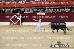 CORTES MEDINA DEL CAMPO 29-08-2015 36