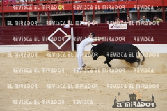 CORTES MEDINA DEL CAMPO 29-08-2015 37