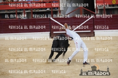 CORTES MEDINA DEL CAMPO 29-08-2015 38