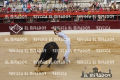 CORTES MEDINA DEL CAMPO 29-08-2015 4