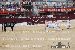 CORTES MEDINA DEL CAMPO 29-08-2015 40