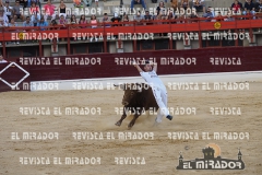 CORTES MEDINA DEL CAMPO 29-08-2015 43