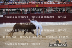 CORTES MEDINA DEL CAMPO 29-08-2015 44