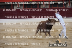 CORTES MEDINA DEL CAMPO 29-08-2015 45