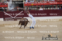 CORTES MEDINA DEL CAMPO 29-08-2015 46