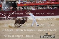 CORTES MEDINA DEL CAMPO 29-08-2015 47