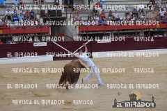 CORTES MEDINA DEL CAMPO 29-08-2015 48