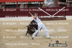 CORTES MEDINA DEL CAMPO 29-08-2015 49