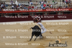 CORTES MEDINA DEL CAMPO 29-08-2015 5