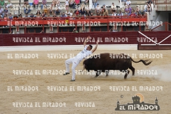 CORTES MEDINA DEL CAMPO 29-08-2015 50