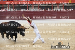 CORTES MEDINA DEL CAMPO 29-08-2015 54