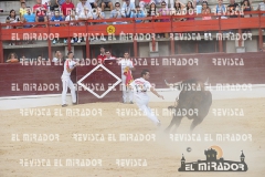 CORTES MEDINA DEL CAMPO 29-08-2015 56