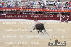 CORTES MEDINA DEL CAMPO 29-08-2015 57